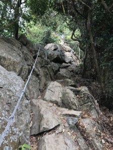 龍麟山