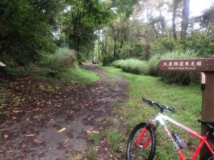 大鹿林道東線/騎乘登山車