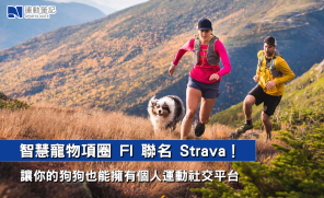 【話題】智慧寵物項圈 FI 聯名 Strava！讓你的狗狗也能擁有個人運動社交平台