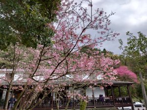 新北汐止-大尖山-四分尾山