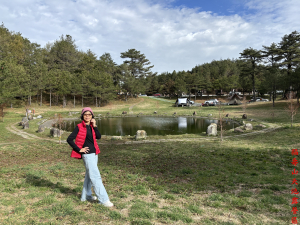 武陵農場車露、賞櫻＋福壽山車露、千櫻園（三日遊）