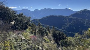 20260214 小百岳藤枝山