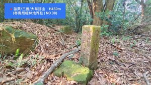 ​🔺苗栗/三義/大草排山，H450m (專賣局樟林地界柱 | NO.38)