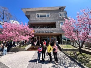 🌈228連假北橫賞櫻客製化四日遊Day2 FB：熊熊趴爬走🌈