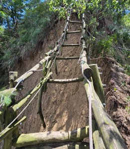 台中大坑四號登山步道（毀損）