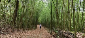 2025/04/20_鷂婆山步道