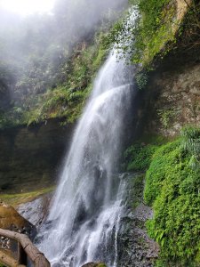 【南投 | 杉林溪】