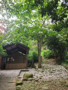 挑炭古道(三通嶺古道)+慈濟山步道