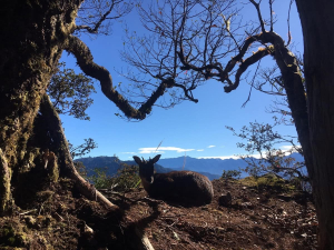 愛上❤️加里山的四天（春天、夏天、秋天、冬天）