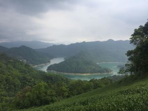 永安步道抓土虱