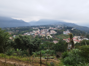 [南投鹿谷][二]尖子頂山(麒麟山)、水子尾山、和尚頭山、土地公山、土地公鞍(凍頂山)、山豬湖、五崙尾(大水堀)、南坪山、凍頂、崁頭、頂城、下崁頭、藤湖山