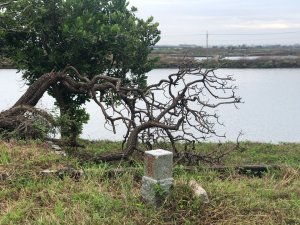 台南市麻豆區、將軍區、七股區三等三角點平地基石