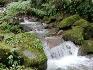 雙溪區中坑橋+中坑西山尾稜+中坑西山+內盤山坑古道+中坑橋O型