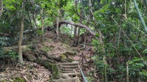 【臺中】北屯南觀音山｜小百岳