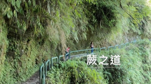 花蓮-瓦拉米步道（步道口至佳心）吊橋瀑布山景綠意歷史皆具備