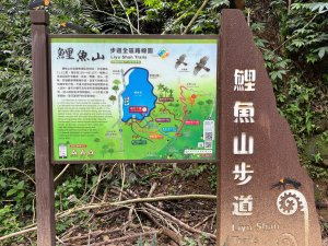 鯉魚山步道群