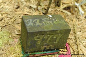 陽明山  幾時有一座雙面山？   2026 D0427 ｜ 面天山 與 雙面山