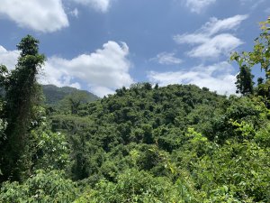 20240803屏東頭崙山-頭崙山西北峰