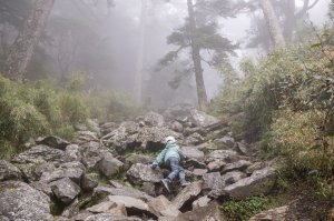 玉山前峰-翻越石瀑的第五座百岳之旅。