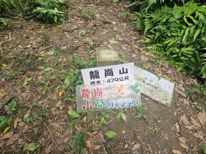 大嶺古道、大石壁坑山北峰、大石壁坑山、五酒桶山、龍崗山O繞