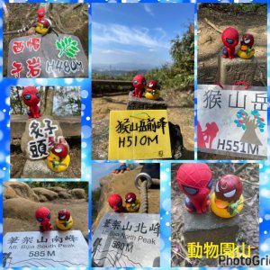 微笑山⛰️線-大棟-二格山-五分山-天上山-鳶山💎12條步道完成💙