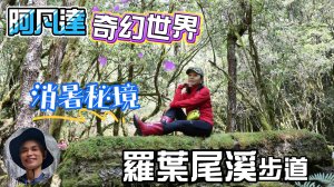 隱密的高山森林親水秘境羅葉尾溪步道，松蘿垂掛、綠苔滿佈、水聲潺潺、奇形怪木，宛如置身阿凡達的奇幻世界。幽靜又消暑的步道，最搭羅馬縱走與平多縱走。