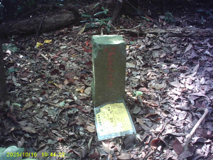 探勘苗栗公館「出礦坑山」、「出礦坑」龍溪左町杭標及「北番子埔」後龍溪右町杭標等三顆基石。