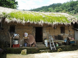 【新北市】茶山古道爬上林家草厝