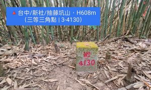 🔺台中/新社/抽藤坑山，H608m（三等三角點 | 3-4130）
