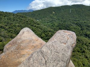 山中尋寶石任務：金面山親山步道20190913