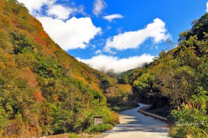 楓紅上帝的部落-司馬庫斯