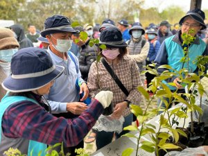 林業及自然保育署臺中分署以萬株原生樹苗扎根生活 115年植樹月活動開跑