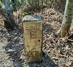 台南綠色長城大凍山系的南一段-  嘉南E三角點-大龍嶺開天殿-大崖山縱走出龍目井農場