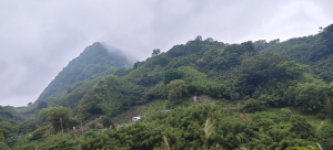 鷂婆山-2025/04/20