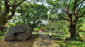 《苗栗》鳴鳳古道｜樟之細路古道巡禮RSA41-42