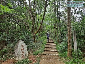 【新竹】金獅步道-仁和步道-漢卿步道-秀才步道 O型