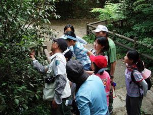 【活動】2018陽明山國家公園天溪園賞螢活動開跑