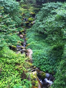 特富野古道不是步道