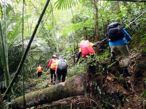 林厝站-沿河堤步道-登山口-祖眉坑山P型走