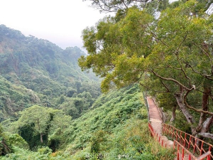 【彰化田中】漫遊。 田中森林步道赤水崎公園步道O繞x田中稻草人藝術節