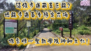 這條步道藏著巨龍？撼龍步道春季限定花海｜探索唯心聖教學院神秘文化！
