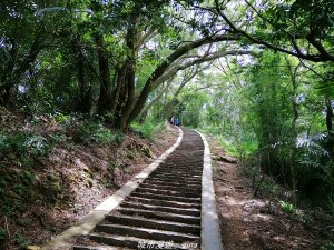 【新竹。芎林】綠蔭成徑。 小百岳集起來。編號27小百岳-中坑山 x飛鳳山