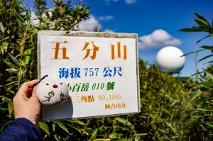 五分山｜小百岳