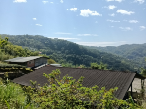 石碇區大崙古道+崩山大崙+熱腸古道