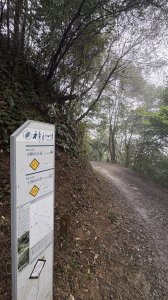 樟之細路龍潭關西「十連峰」