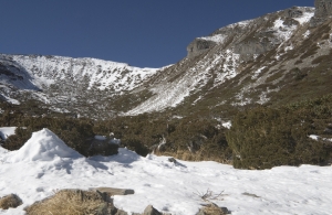 【公告】103~105年雪霸處 雪季山難案件統計表