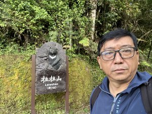拉拉山神木群