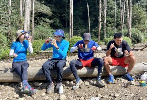 單日往返「水漾森林、眠月神木」