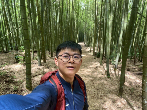 嵐山竹林在古坑。五元兩角 木馬古道