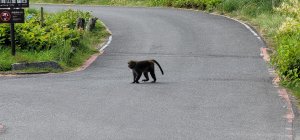 翠峰湖環山步道 20220731